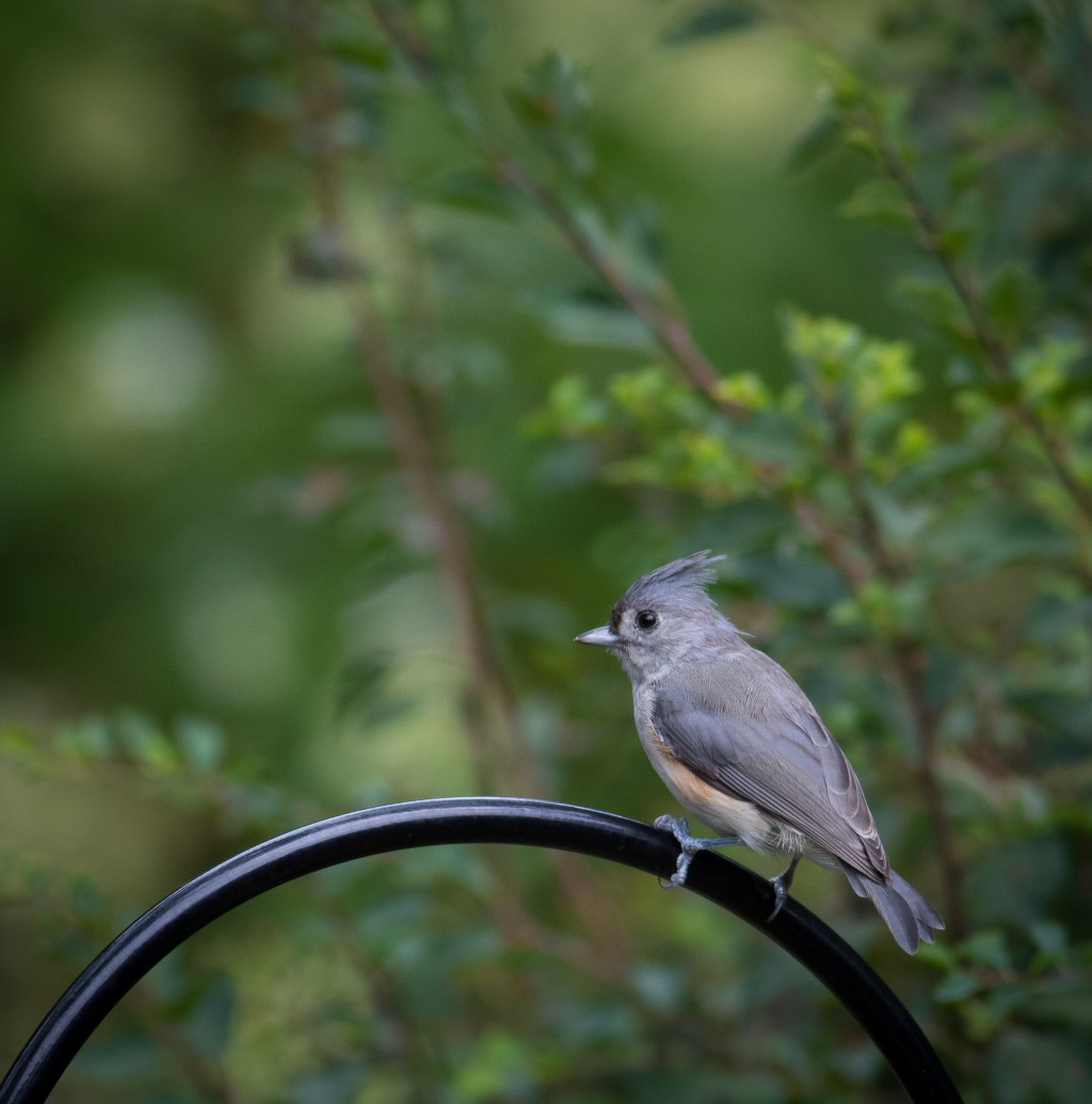 The Journey has ended