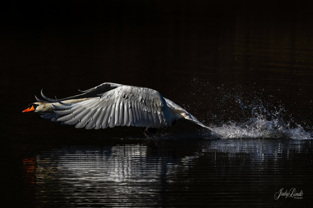 Rejoining the world of&nbsp;blogging