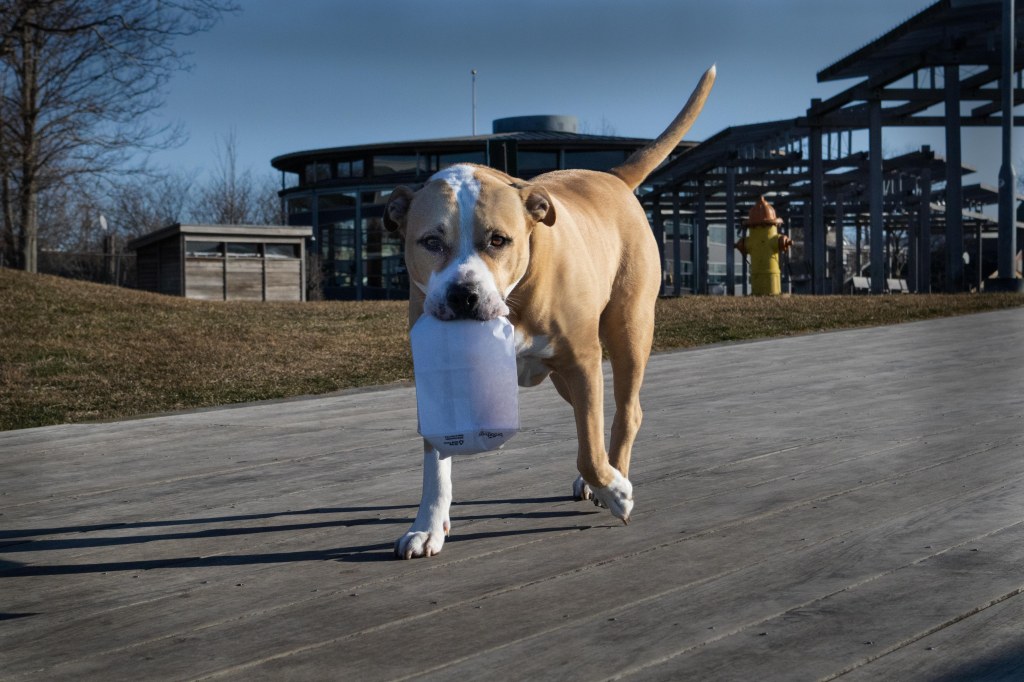 NOFO Morning part II