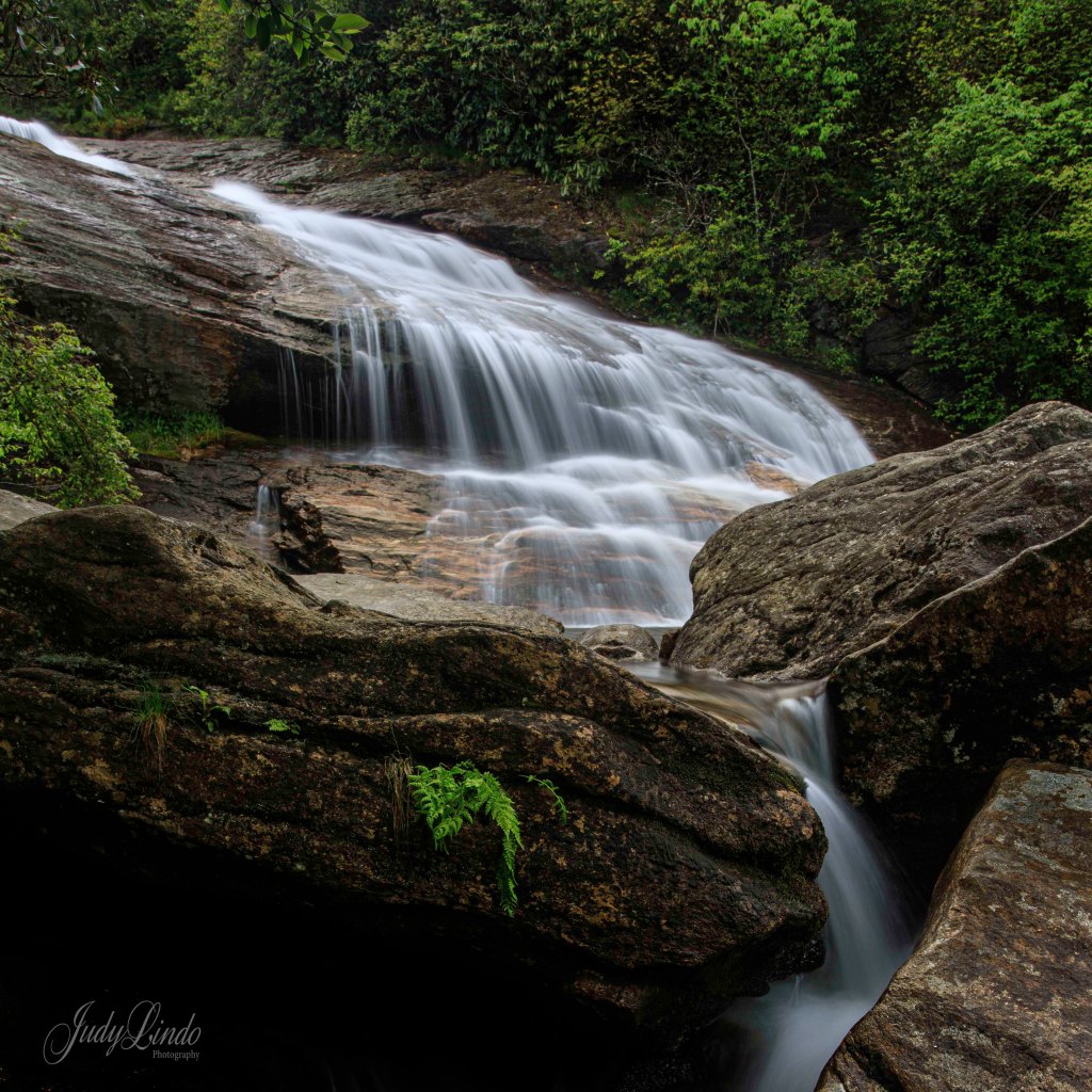 Pisgah National Forest