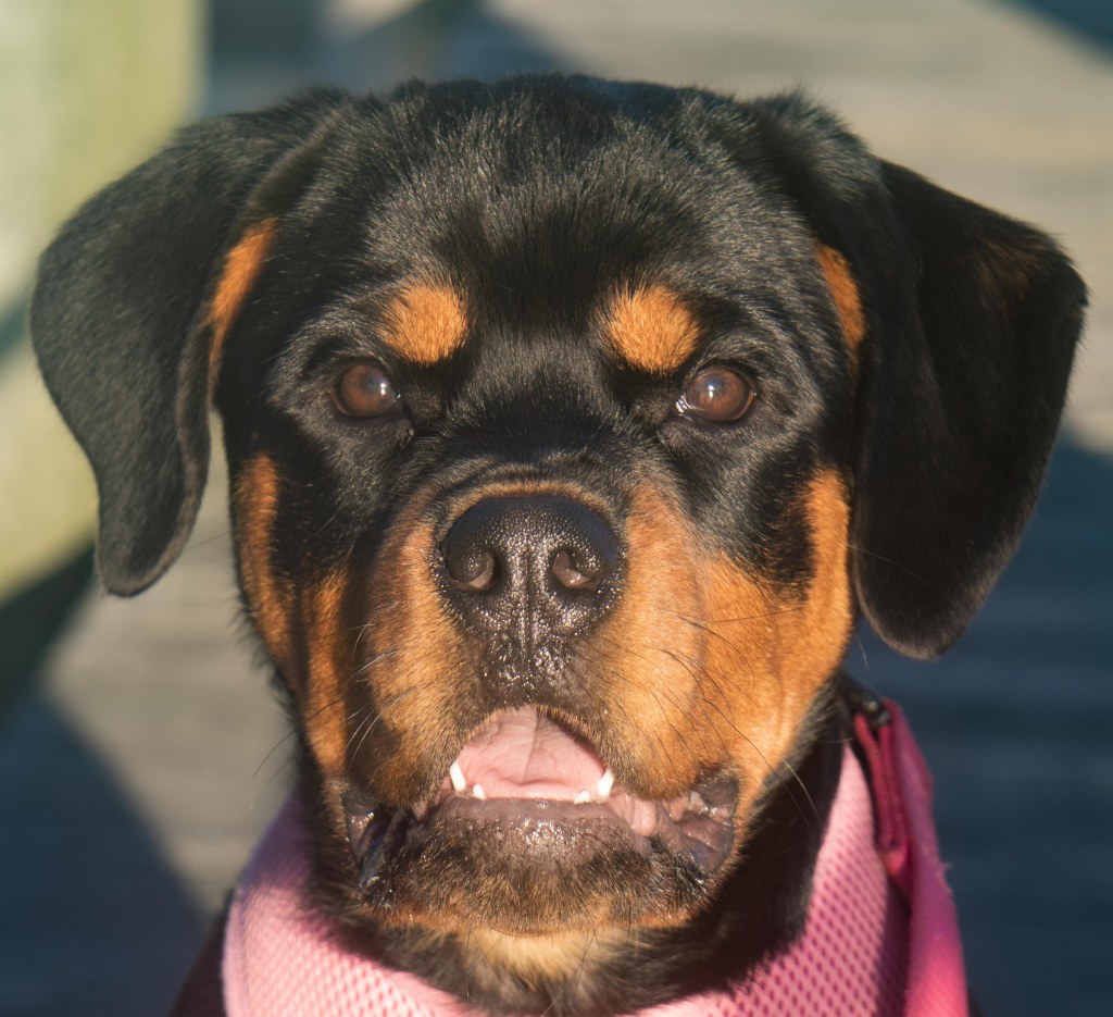 It’s been awhile…