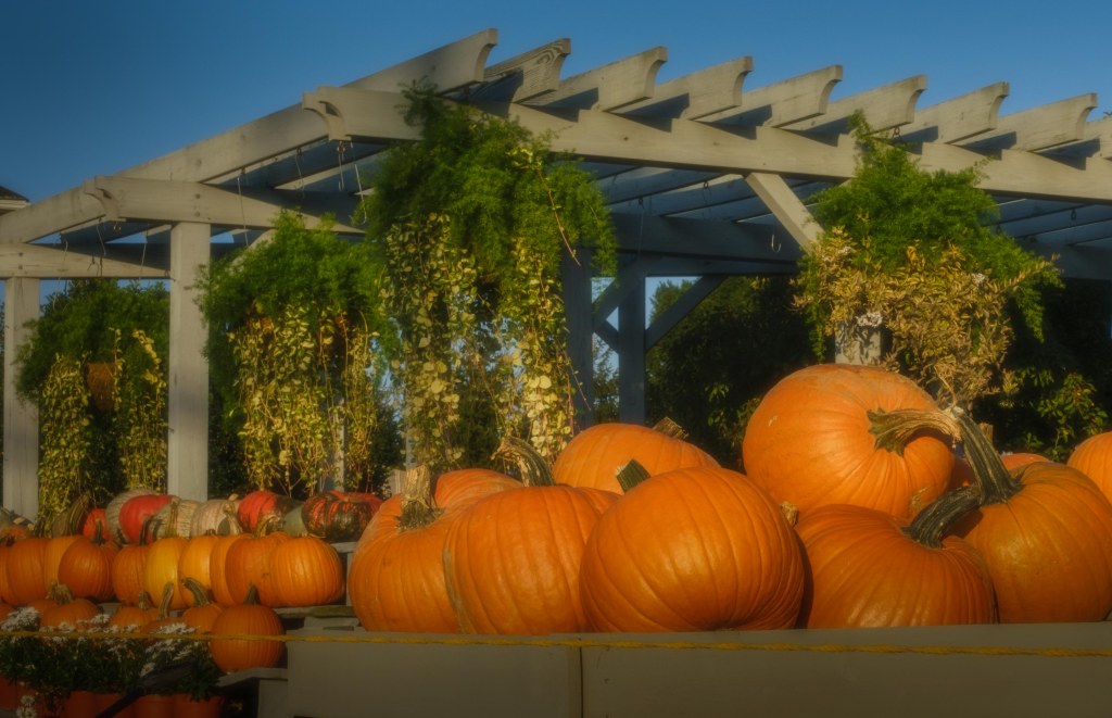 Fall on the North Shore of&nbsp;LI