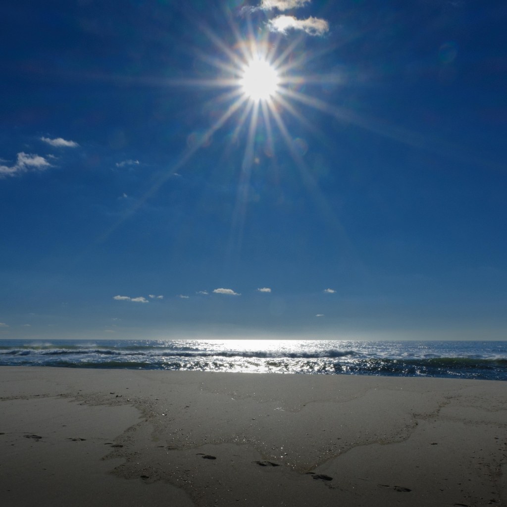 Winter Day at the&nbsp;beach