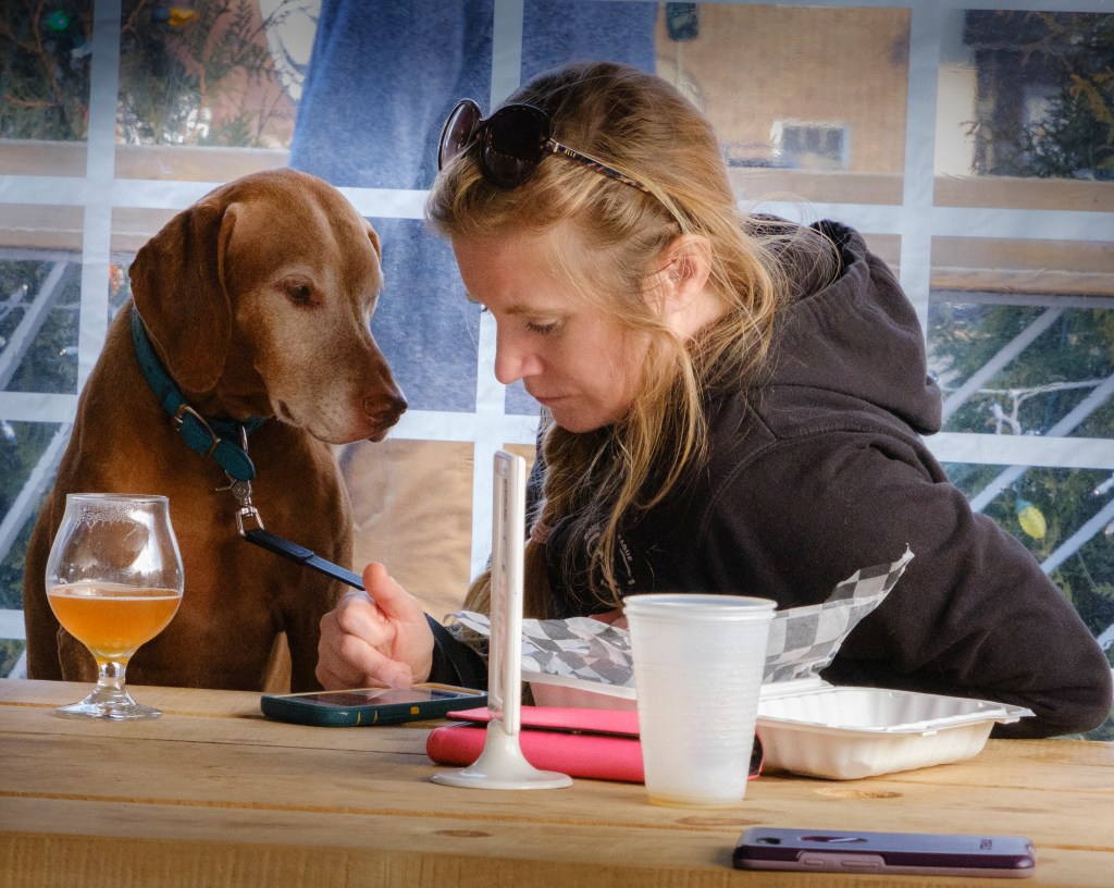 The Dogs of&nbsp;Huntington